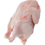 daging ayam