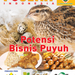 PI-April2019