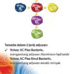 tabel 2