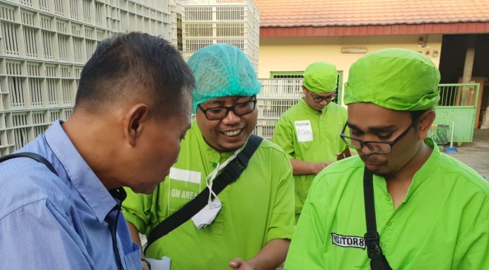 Tim Kementan dan Satgas Pangan Telusuri Penyebab Besarnya Disparitas Harga Ayam