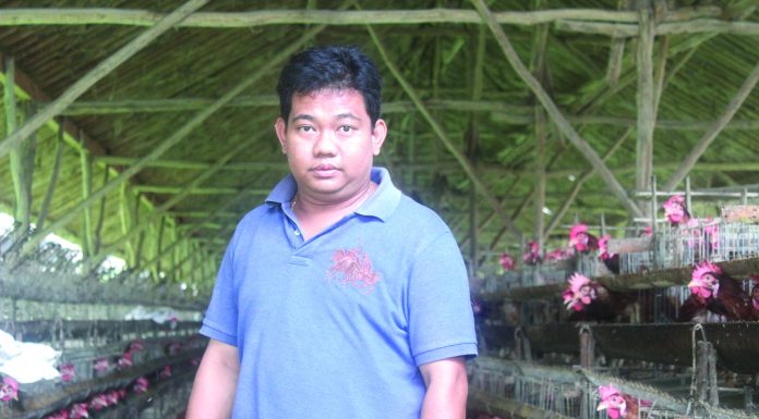 Herman, Penerus Bisnis Sakim Farm