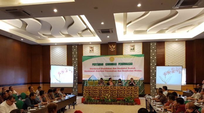 Upaya Ditjen PKH Kementan Stabilkan Harga Ayam di Tingkat Peternak