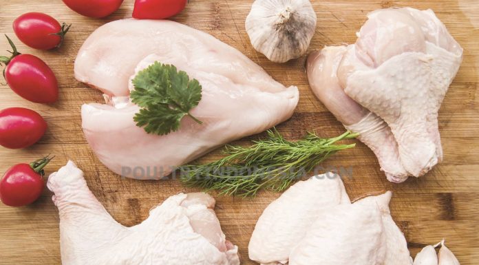 Daging Ayam untuk Menjaga Pertumbuhan dan Kesehatan