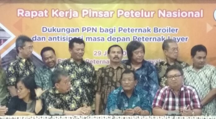 Membangun Cangkang Kuat untuk Peternakan Ayam Petelur