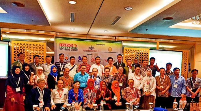 Ternak Itik, Alternatif Persediaan Daging Unggas Nasional