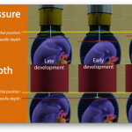 egginject dual pressure