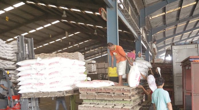 Bagaimana dengan Logistik di sektor hilir perunggasan?