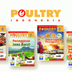 Poultry Indonesia – Marketplace 02 – Website Banner