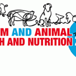 Poultry-Indonesia-banner-407×210