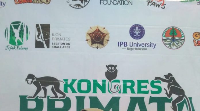 Nasib Peternak Rakyat