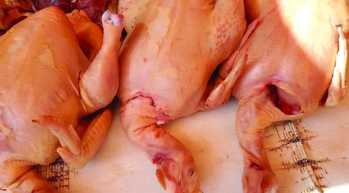 Semangat Kebersamaan untuk Jaminan Produk Halal