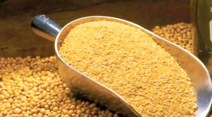 Argentina Penghasil “Harina de Soja”