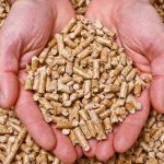 pellet
