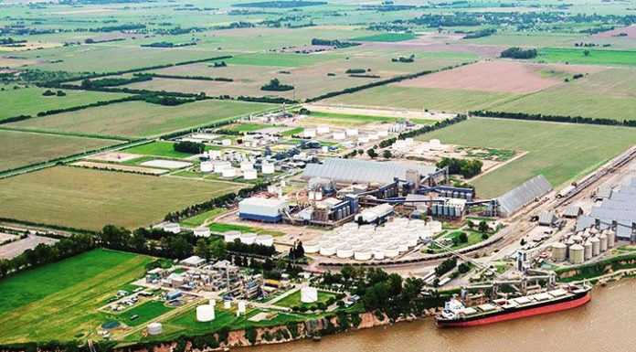 Agentina Pengekspor Bungkil Kedelai Terbesar