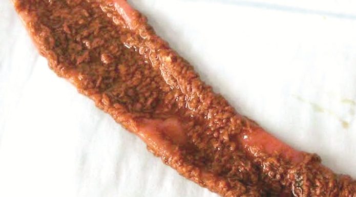 Menelisik Penyakit Necrotic Enteritis