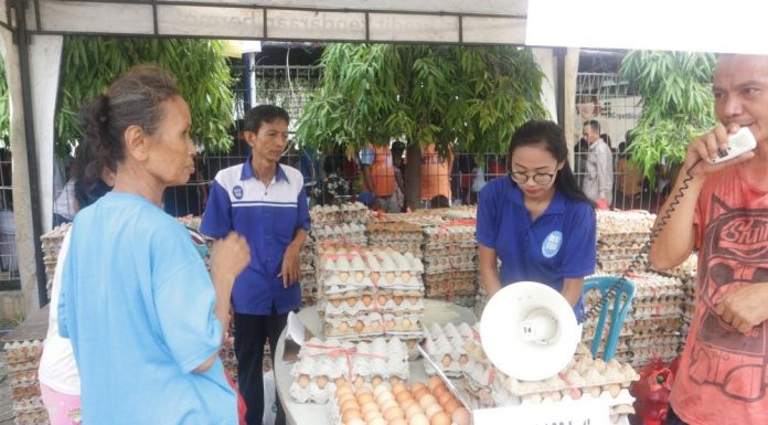 Stok Daging Ayam dan Telur Jelang HBKN Aman