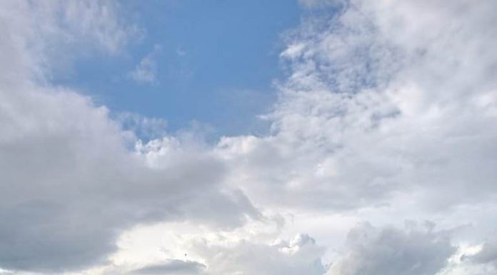 Syaiful Jati Anhardhika – Tata Kelola Perunggasan Perlu Diperbaiki