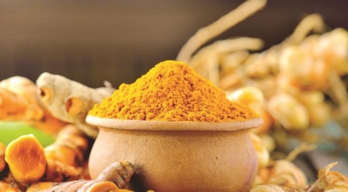 Investasi Pengembangan Produk Herbal Perunggasan