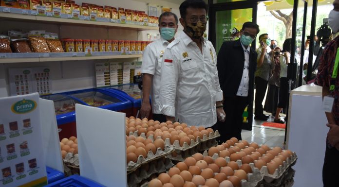 Mentan SYL Ajak Mitra Hadapi Corona