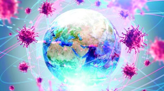 Kondisi Perunggasan Global di Tengah Pandemi COVID-19