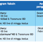 TABEL 2