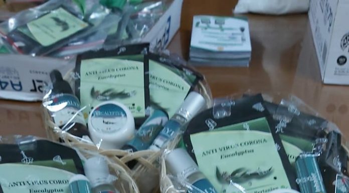 Kementan Gandeng Swasta Perbanyak Antivirus Corona Berbahan Eucalyptus