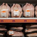 choosing-bad-chicken-1550176165