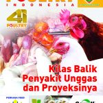 cover POULTRY EDISI DESEMBER 2020-1