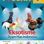 COVER-Februari