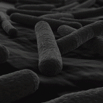 Banner EW Nutrition APril 2021