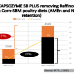 Screen Shot 2021-03-16 at 14.29.08