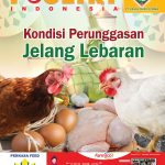 COVER-MEI-2021