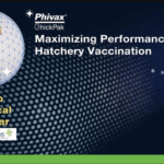 Screen Shot 2021-06-23 at 08.36.55