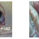 Screen Shot 2021-07-06 at 11.28.46