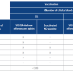 Screen Shot 2021-07-06 at 11.36.47