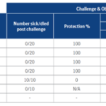 Screen Shot 2021-07-06 at 11.38.51