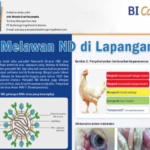 Screen Shot 2021-07-06 at 11.52.30