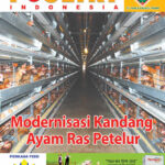 cover juli