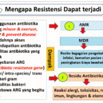 AMR