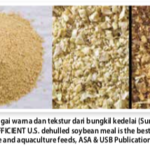 Screen Shot 2021-08-06 at 12.29.57