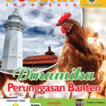 cover pi nov