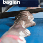 PO21_WB_019_I-Cut_246x388_EN