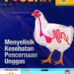 COVER Mei 2022