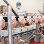Perang antara Ukraina dan Rusia tidak bisa dipungkiri berimbas pada inflasi global. Karena adanya kenaikan harga minyak dan barang-barang lainnya, kemungkinan masyarakat global akan lebih memilih sumber protein yang terjangkau, yaitu daging ayam dan telur.