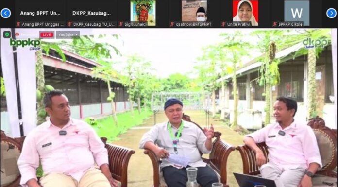 Balai Pelatihan Peternakan dan Ketahanan Pangan (BPPKP) Cikole, Lembang, Jawa Barat bersama dengan Dinas Ketahanan Pangan dan Peternakan (DKPP) Provinsi Jawa Barat menggelar acara bincang santai bertajuk “Bincang Cikole Season 2 Vol.5” pada Selasa, (24/05).