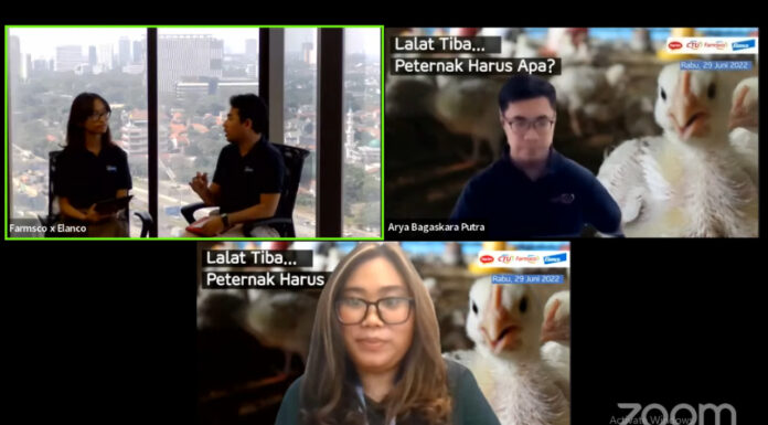 Musim pancaroba merupakan kondisi yang sulit mengingat keberadaan lalat dapat melonjak. Apabila hal demikian terjadi, maka keberadaannya dapat mendatangkan petaka bagi peternak mengingat lalat merupakan salah satu sumber penyebaran penyakit.