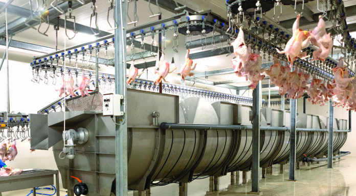 Tahap screw chiller dalam sistem rantai dingin RPHU (Sumber: viv.net)