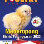 cover januari 2023
