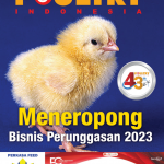 meneropong