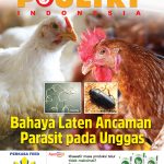 COVER-MARET-2023